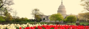 US Capitol