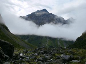 Mountain mist