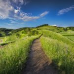 Hilly dirt path wandering through grassy fields