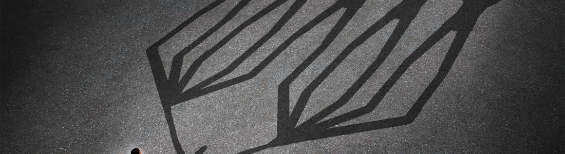 Cultivating Government Leaders